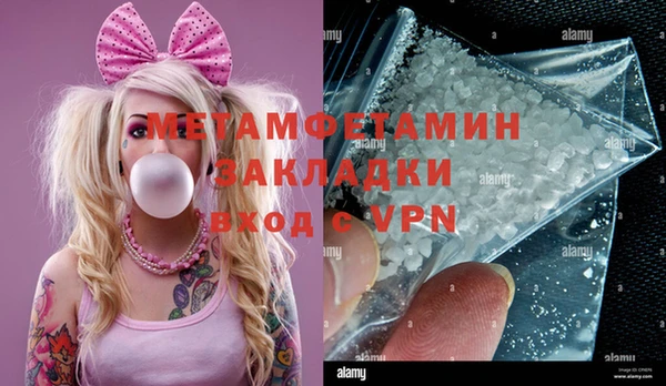 прущие грибы Богданович