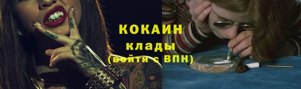 прущие грибы Богданович