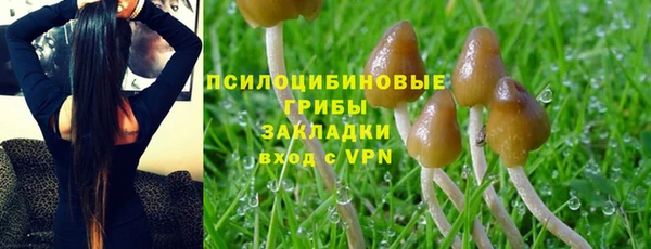 ECSTASY Белокуриха