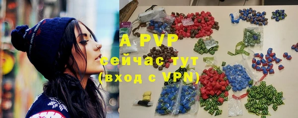 ECSTASY Белокуриха