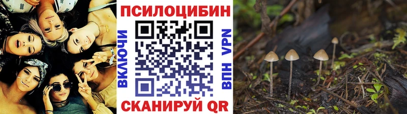 Псилоцибиновые грибы Magic Shrooms  Кодинск 